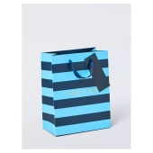 Blue Stripe Small Bag