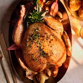 Free Range White Whole Turkey