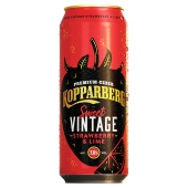 Kopparberg Strawberry & Lime Vintage