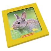 Rabbit In A Field With Buttercups, Happy Easter Card