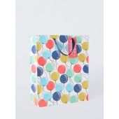 Balloon Medium Portrait Bag