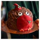 Cheeky Chocolate Robin Cake