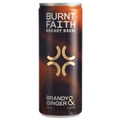 Burnt Faith Brandy and Ginger