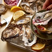 No.1 12 Isle of Mull Oysters