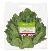 Waitrose Emerald Globe Lettuce