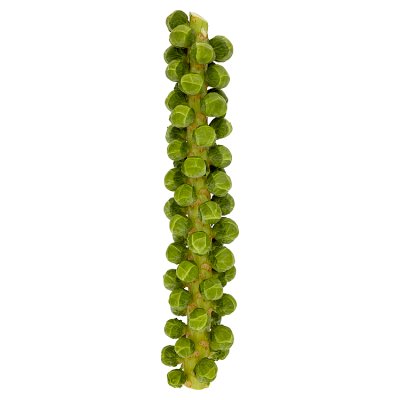 Sprouts on Stalk