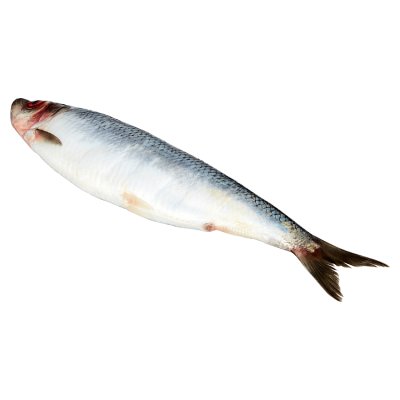 Waitrose MSC Whole Herring
