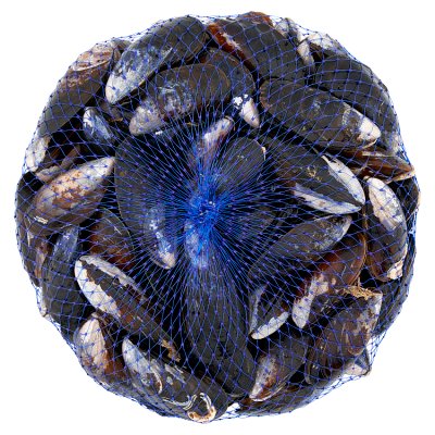 Rope Grown Scottish MSC Mussels