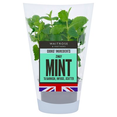 Cooks' Ingredients Mint Pot