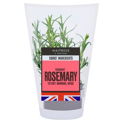 Cooks' Ingredients Rosemary Medium Pot