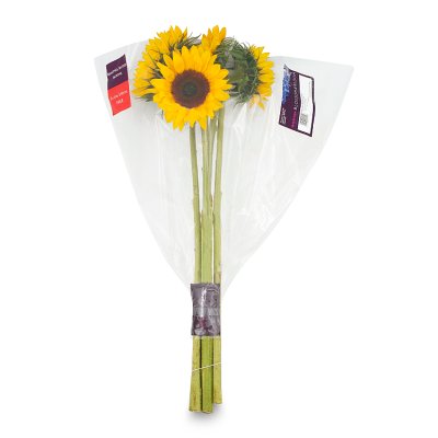 Waitrose British Sunflowers Bunch