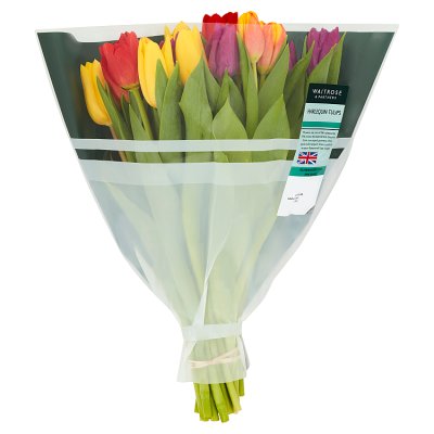 Waitrose Harlequin Tulip Bouquet