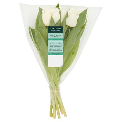 Waitrose Pastel Tulips