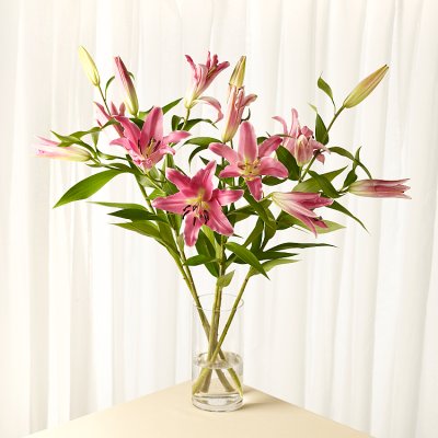 No.1 Premium Lilies
