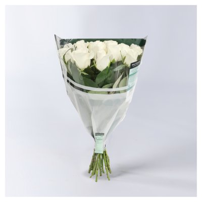 Foundation Long-Stemmed Pastel Roses