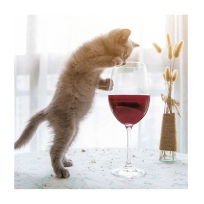 Cat Wine Glass Greetings Card Waitrose Partners