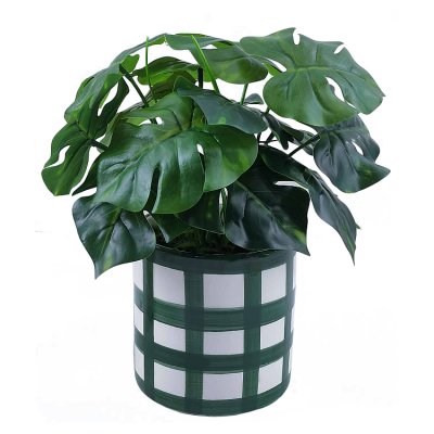 Curate Faux Floral Monstera in Green Cross Ceramic Pot, 28cm Height