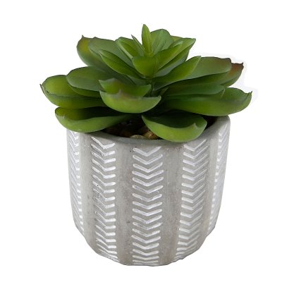 Curate Faux Floral Single Succulent in Cement Pot, 10cm Height
