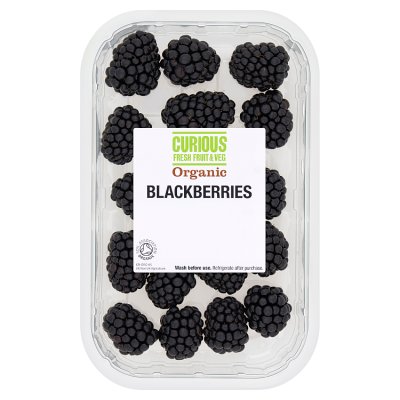 Curious Organic Blackberries