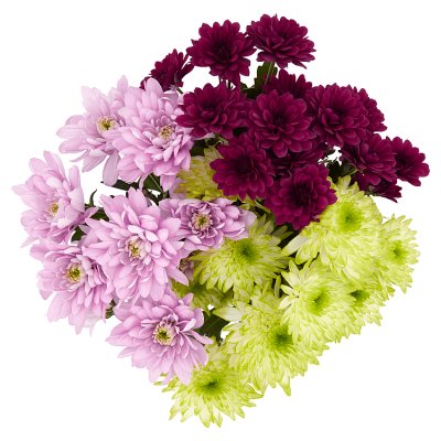 Chrysanthemum Bouquet