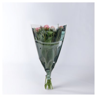 Waitrose Flower Garden Large Peony Bunch