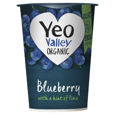 Yeo Valley Organic Blueberry Yogurt