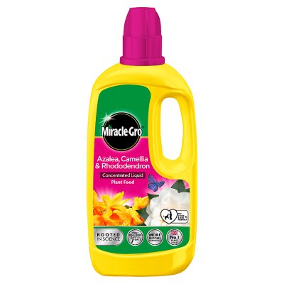 Miracle-Gro Azalea, Camellia & Rhododendron