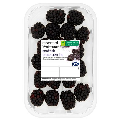 Essential Scottish Blackberries
