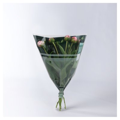 Waitrose Flower Garden Peonies