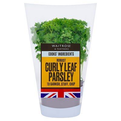 Cooks' Ingredients Curly Parsley Medium Pot
