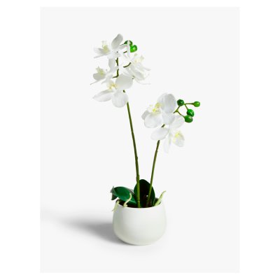 John Lewis Artificial Small White Orchid in Ceramic Pot