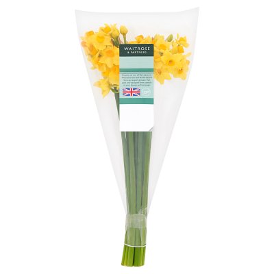 Waitrose Scented Narcissi