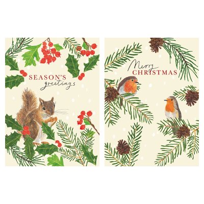 Rec Squirrel/Robins Boxed Cards 16