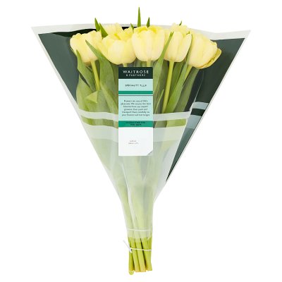 Waitrose Speciality Tuilips