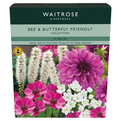 Waitrose Garden Butterfly Friendly Collection