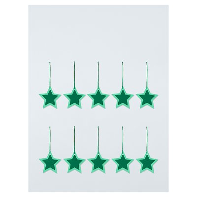 Foundation Green Star Tag