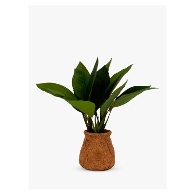 John Lewis Artificial Banana Leaf Plant in Ceramic Basket