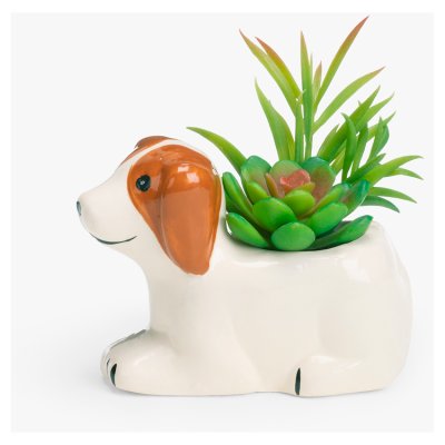 John Lewis Artificial Succulent in Ceramic Dog, Mini