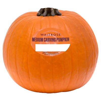 Waitrose Medium Carving Pumpkin
