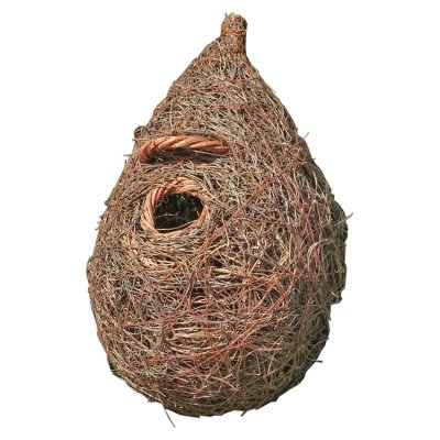 Giant Roost Pocket Bird Nester