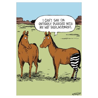 Hip Replacement Blank Greetings Card