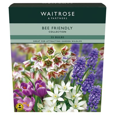 Waitrose Bee Friendly Bulbs Waitrose Partners