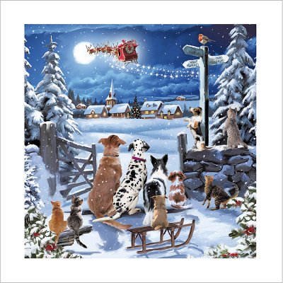 Dogs And Cats Looking Santa