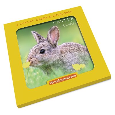 Rabbit In A Field With Buttercups, Happy Easter Card
