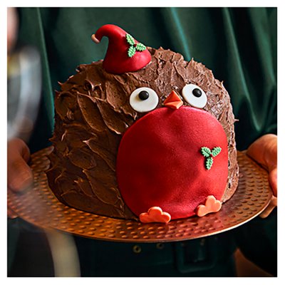Waitrose ENT Cheeky Choc Robin Cake