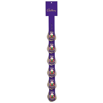 Cadbury Dairy Milk Chocolate Coins