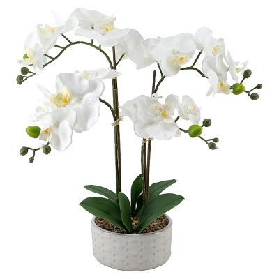 Curate Faux Floral Orchid in Ceramic Pot, 47cm Height