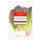 Waitrose Ruby Gem Lettuce…