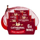 Cathedral City Minis Mature Cheddar Cheese 6x20g
