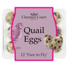 Clarence Court Burford Buff 10 Medium Eggs